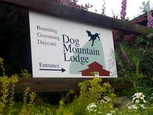 Dog Mountain Lodge Pet Spa
