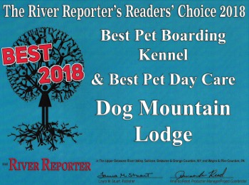 Dog Mountain Lodge Pet Spa